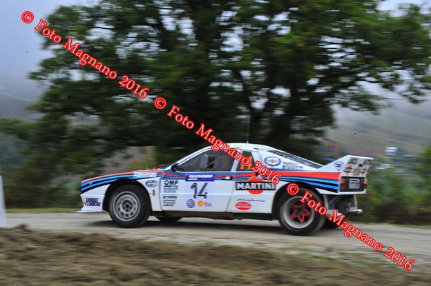 DSC_8553.JPG